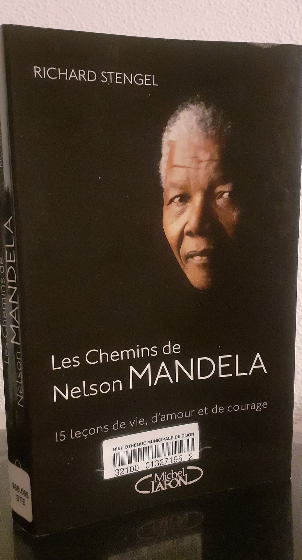 Les Chemins de Nelson Mandela